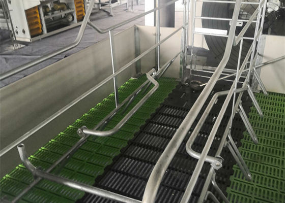 품질  Fabricated Prefab Steel Structure Pig House Galvanised Industrial 공장