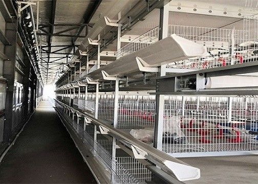 OEM / ODM 철골 구조물 농장 가금류 레이어는 닭집을 조립했습니다