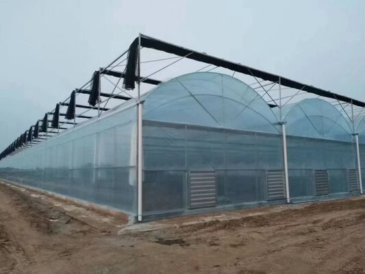 Continuous-span PO film greenhouse for increasing vegetable yields
