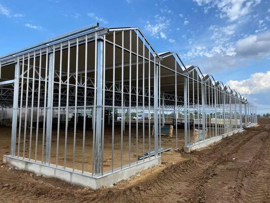 벤루오 관광 유리 온실 - 대규모 채소 재배 온실