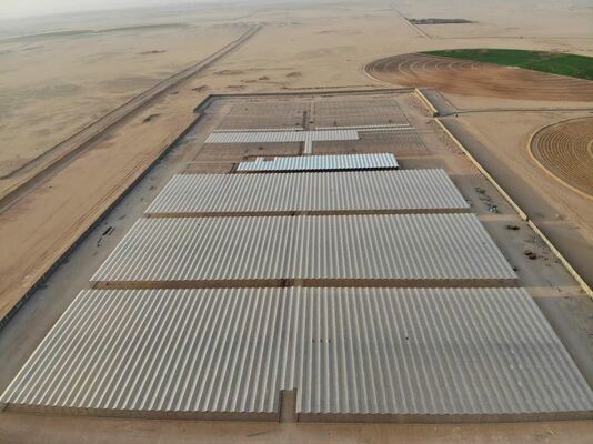 농업용 재배, 완누 관광 유리 온실