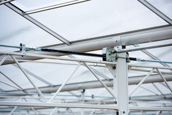 농업용 재배, 완누 관광 유리 온실