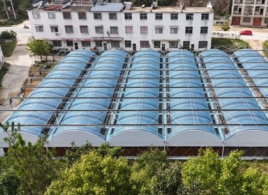 채소 수확량을 증가시키고 채소 성숙 과정을 가속화하기 위해 사용되는 연속 스펜 폴리에틸렌 필름 온실