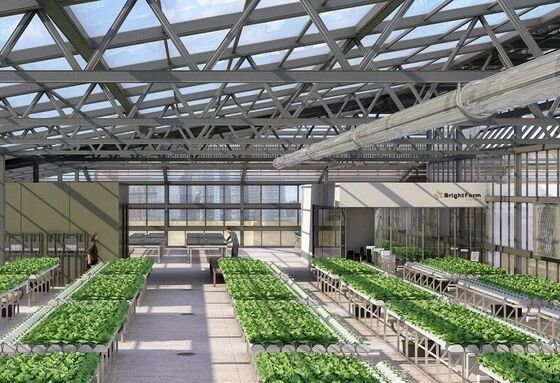 고품질의 꽃을 재배하기 위한 연속 팽창 폴리에틸렌 필름 온실