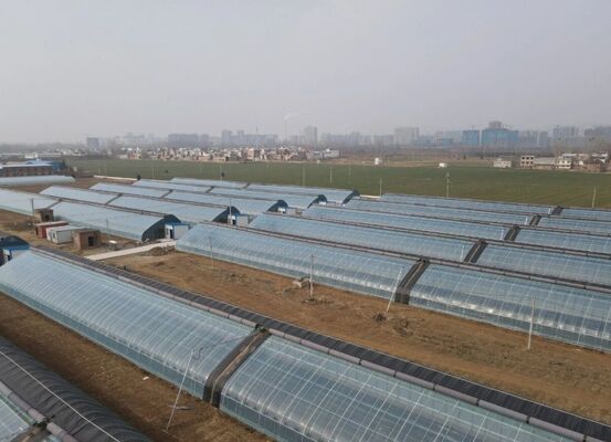 고품질의 꽃을 재배하기 위한 연속 팽창 폴리에틸렌 필름 온실