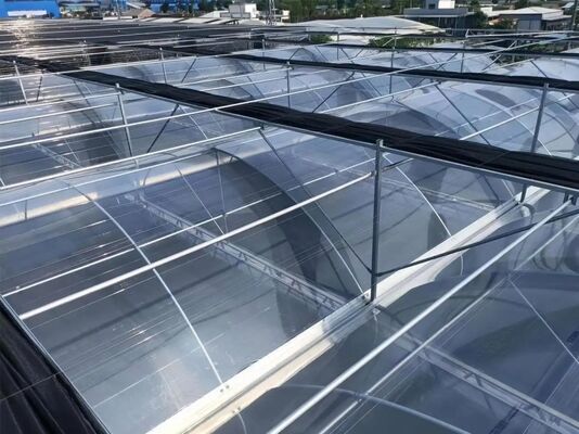 웬루 관광 유리 온실 - 대규모 과일 재배 온실